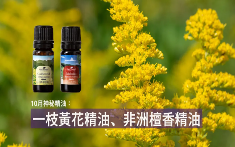 广州百花丛一品香有哪些特色？这几点让你大开眼界！