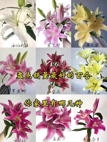 广州百花丛一品香有哪些特色?这几点让你大开眼界!
