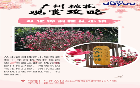 广州网红直播街怎么去最方便？交通攻略看这里！